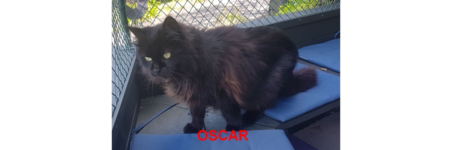 Oscar