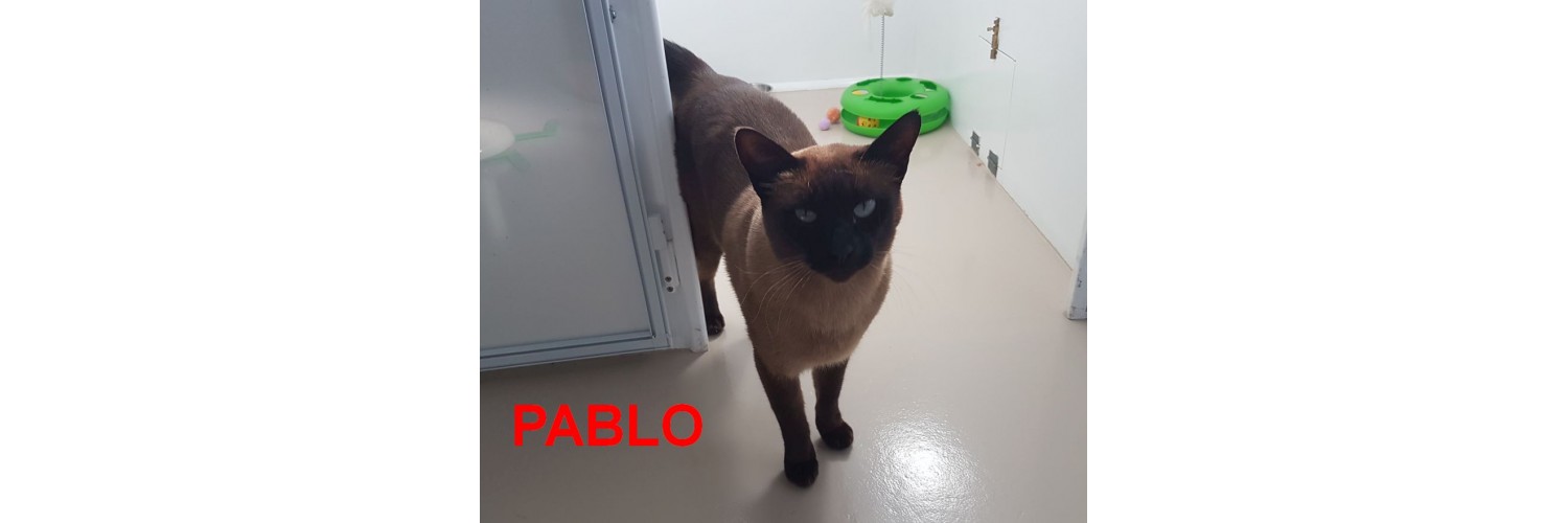 Pablo