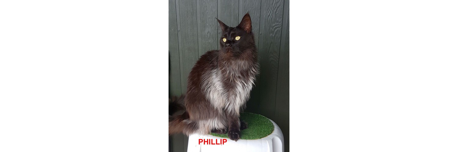 Phillip
