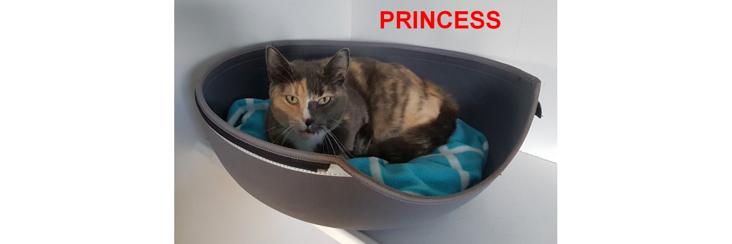 Princess
