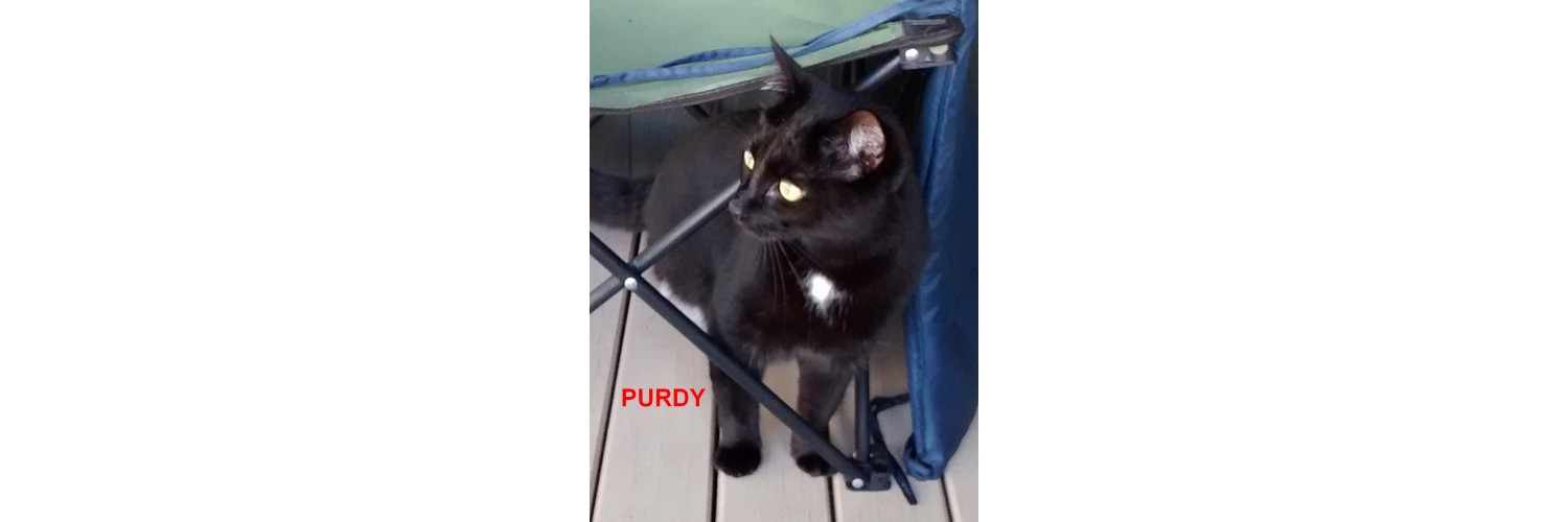 Purdy