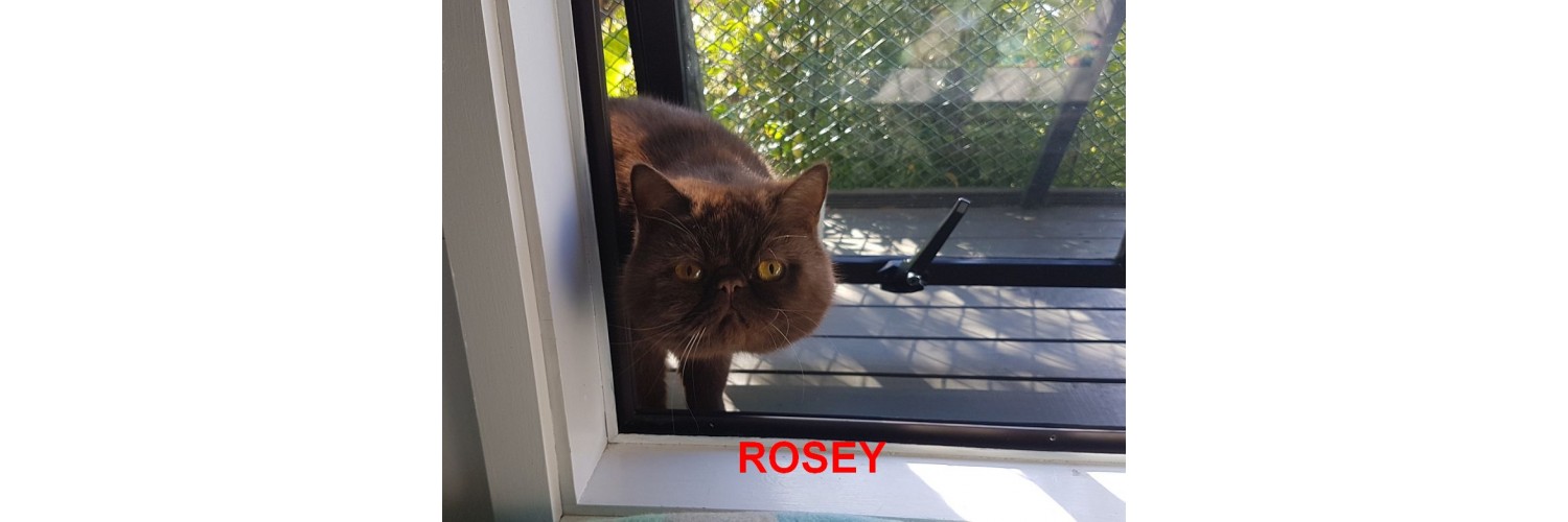 Rosey