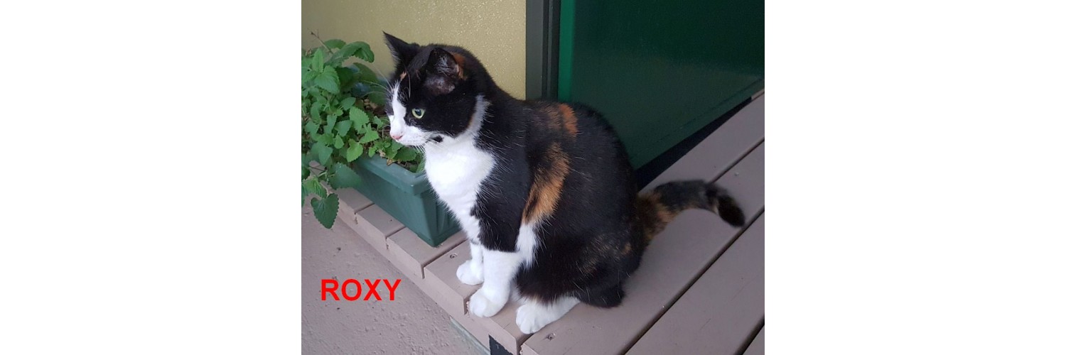 Roxey