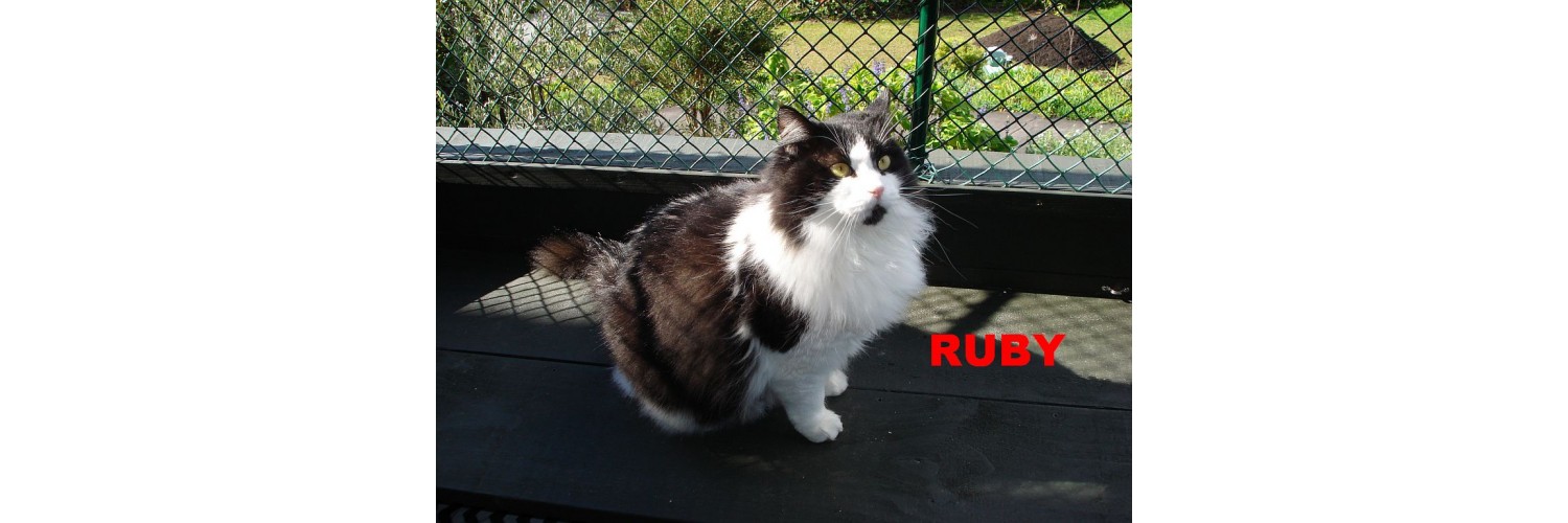 Ruby
