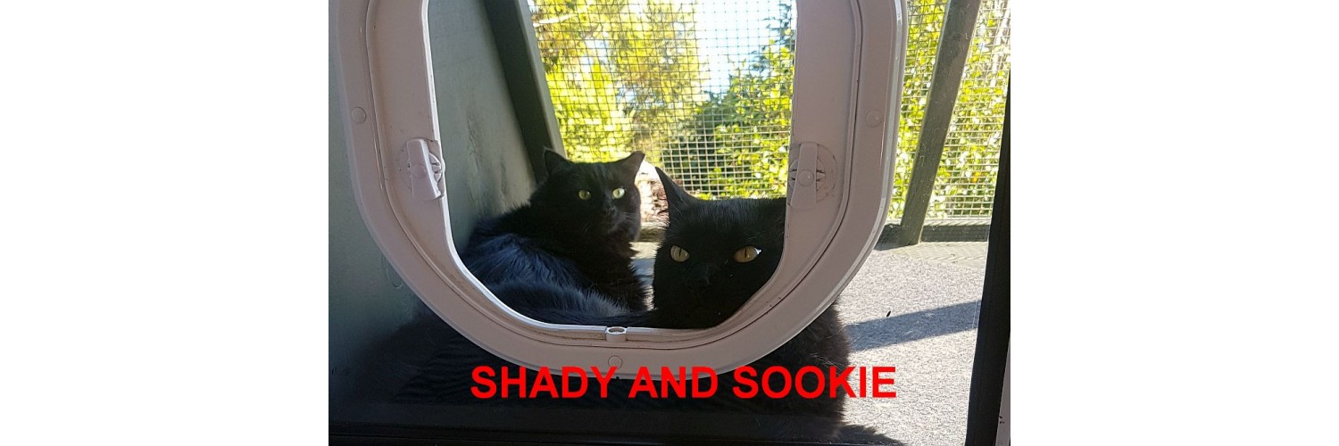 Shady and Sookie