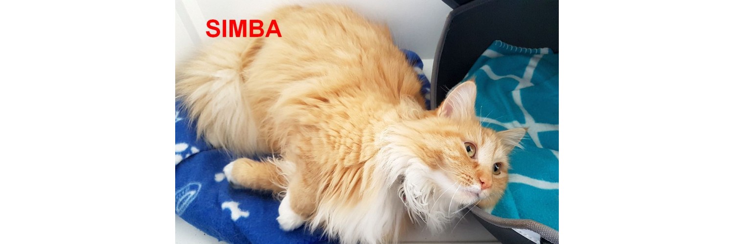 Simba