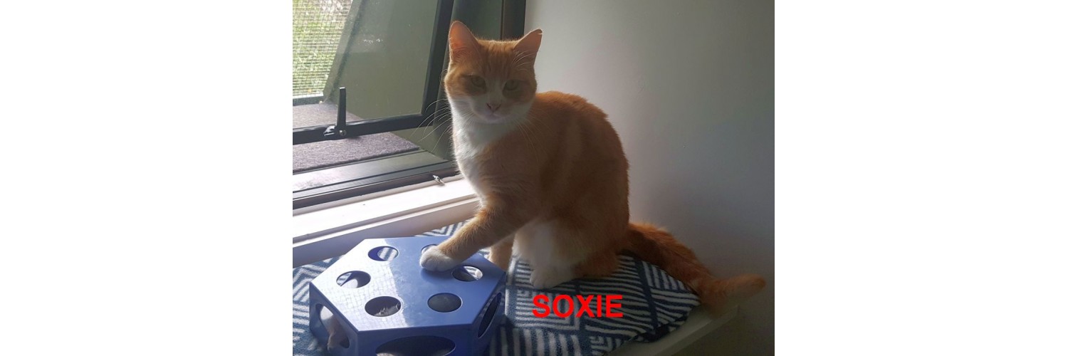 Soxie