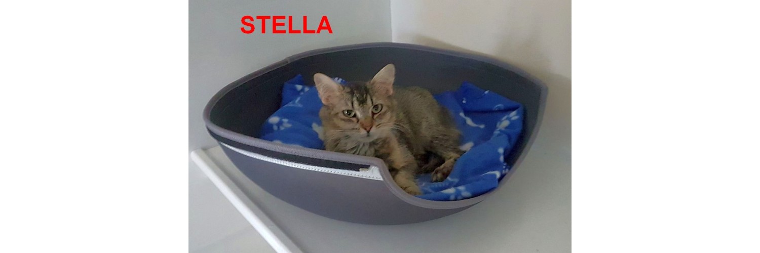 Stella