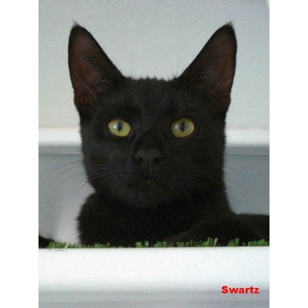 twenty fourth banner