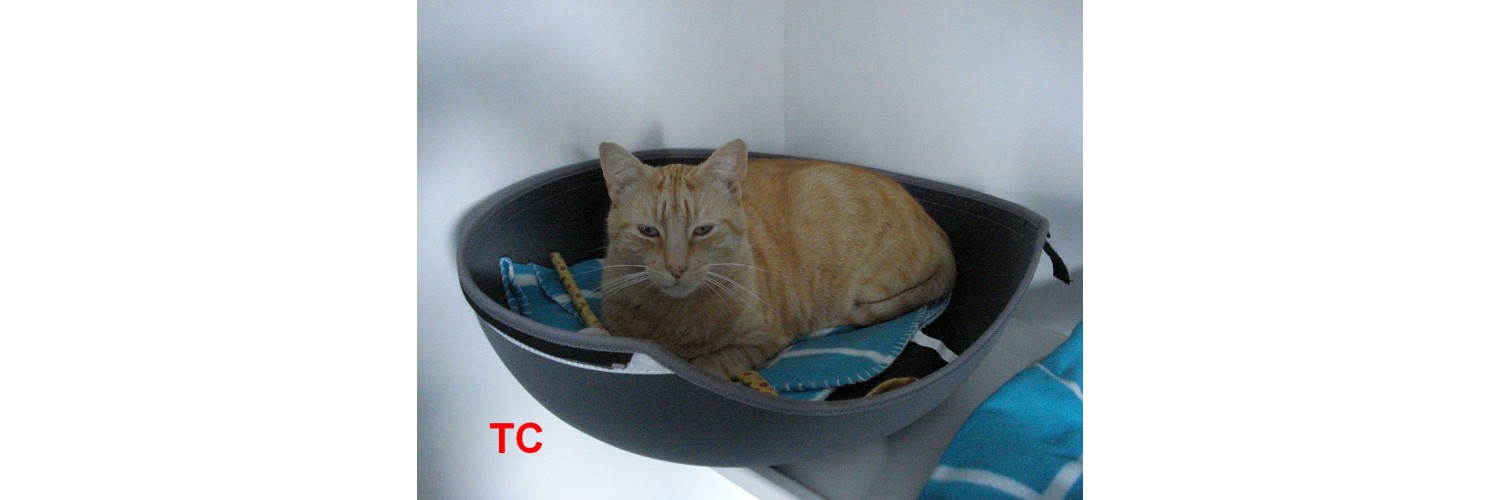 TC