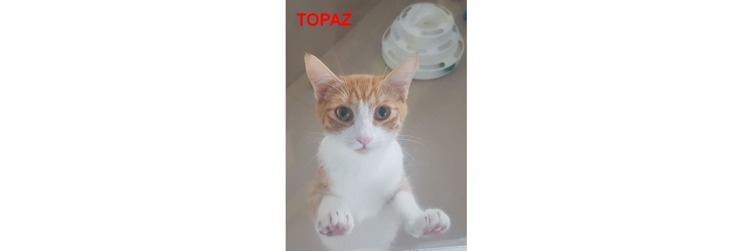 Topaz