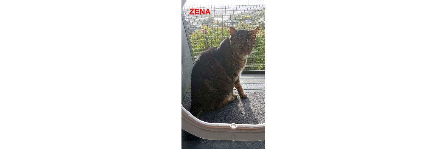 Zena